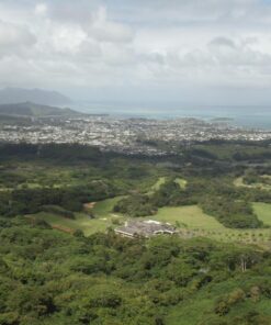 Amazon Basics 3.5mm Aux Audio Cable for Stereo Speaker or Subwoofer with Gold-Plated Plugs, 4 Foot, Black 1 Pack 4 ft (1.2 m) 30 71waWnPbKjL