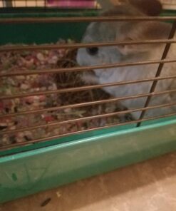 Ware Manufacturing Willow Branch Ball for Small Animals - 4-inch 1-Pack 27 71wb3SqNAwL