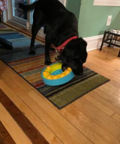 PET N PET Poop Bags Unscented | Dog Poop Bags with Tie Handles | USDA Certified 38% Biobased Dog Waste Bags | Cat Poop Bags | Durable Dog Bags for Poop | Easy Dispensing 200 Counts Poop Bags for Dogs 200 Count (Pack of 1) 28 71wbqRtMb8L