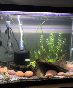 Hikari Bacto-Surge High Density Foam Filter, Large 24 71wcOTzTgqL