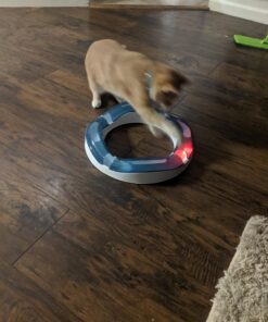 Catit Design Senses Speed Circuit 27 71wdHOTXwFL