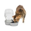 Petmate Replendish Automatic Gravity Waterer for Cats and Dogs, BPA-Free, No Batteries Required, Includes Charcoal Filter, 0.5 Gallon,Silver Silver 0.5 GAL 41 71wdL0WCwCL
