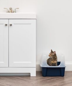 IRIS USA Open-Top Cat Litter Box with Shield and Scoop, Navy 28 71wfYJDz4TL