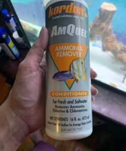 Kordon AMQUEL One-Step Aquarium Water Conditioner - Removes Chlorine & Chloramines Fast, Detoxifies Ammonia, for Freshwater & Saltwater Aquariums, 16-Ounces 15 71wg5uAYgiL