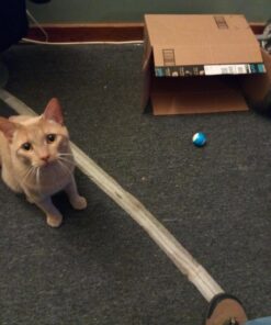 Sphero Mini (Blue) App-Enabled Programmable Robot Ball - STEM Educational Toy for Kids Ages 8 & Up - Drive, Game & Code with Play & Edu App, 1.57" Blue 19 71wgiJcirTL 2