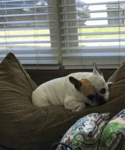 Fairfield 100% Polyester Poly-Fil 20 oz 21 71whY9dn7nL