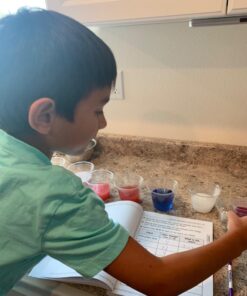 Educational Innovations Red Cabbage Extract 3 71whulzUn5L