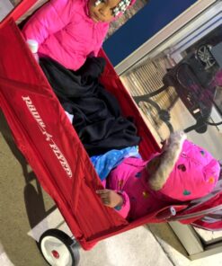 Radio Flyer 3-In-1 EZ Folding, Outdoor Collapsible Wagon for Kids & Cargo, Red Folding Wagon Canopy 61 71wiiGbuNHL