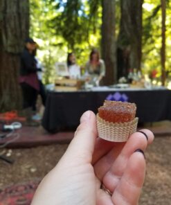 Edibles: Small Bites for the Modern Cannabis Kitchen Hardcover, Illustrated 34 71wjWeCsrL