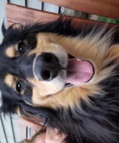 Loud Hailer Loud Hailer 11 71wm9qdeD3L