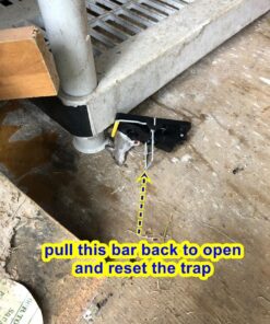 Snap-E 12-001-00-1 6 Pack Mouse Trap, Black 32 71wmoE429kL