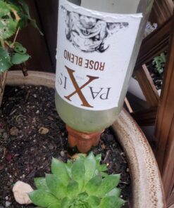 REMIAWY Plant Watering Devices 6 Pack Terracotta Vacation Plant Waterer Wine Bottle Watering Stakes Slow Release Plant Watering Spikes Perfect Self Watering Devices for Indoor Outdoor Plants 31 71wnIoZddZL