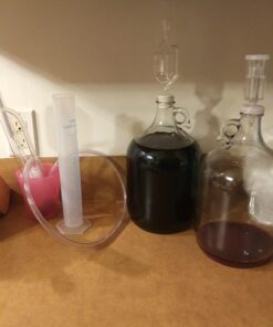 FastRack 1 gal Glass Wine Fermenter, INCLUDES Rubber Stopper and Twin Bubble Airlock, Multicolor 1 Count (Pack of 1) 33 71wnyOfgvhL