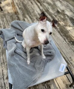 COOLAROO The Original Cooling Elevated Dog Bed, Indoor and Outdoor, Medium, Grey 42.0"L x 25.5"W x 8.0"Th 25 71wtN2sS9HL