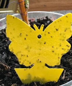 Trappify Sticky Gnat Traps for House Indoor - Yellow Fruit Fly Traps for Indoors/Outdoor Plant - Insect Catcher White Flies, Mosquitos, Fungus Gnat Trap, Flying Insects - Disposable Glue Trapper (12) 12 42 71wu5rvVokL