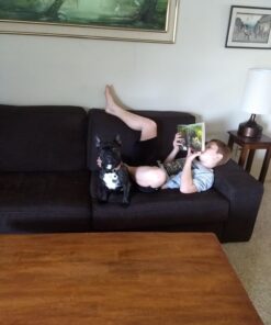 Fablehaven Complete Set (Boxed Set): Fablehaven; Rise of the Evening Star; Grip of the Shadow Plague; Secrets of the Dragon Sanctuary; Keys to the Demon Prison Paperback, Illustrated 22 71wwy4O54JL