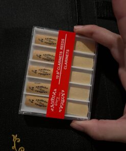 Glory GLY-PBK Professional Ebonite Bb Clarinet with 10 Reeds, Stand, Hard Case, Cleaning Cloth, Cork Grease, Mouthpiece Brush and Pad Brush, Black Black/Silver 34 71wxT6gYQCL