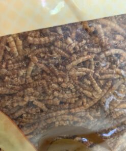 Hatortempt 5lbs Non-GMO Dried Mealworms - Premium Organic Chicken Feed, Nutritious High Protein Meal Worms- Food and Treats for Laying Hens, Wild Birds, Ducks, Reptiles, Fish, Hedgehogs, Turtles 5 Pound (Pack of 1) 47 71wyMcJGzhL