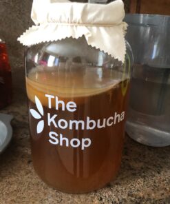 The Kombucha Shop Organic Kombucha Starter Kit - 1 Gallon Brewing Kit Includes All The Essentials Required for Brewing Kombucha At Home Regular 59 71wz5YWBhSL