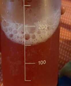 KAYFOOD Daily Kombucha Powder Tea 5g x 20 sticks (100g/3.52oz) with Bottle Sugar Free Diet Tea (SevenBerry Bottle Set) SevenBerry Bottle Set 8.45 Ounce (Pack of 20) 23 71x j5WiCJL