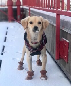 URBEST Dog Shoes with Hook Loop Closure Booties Pet Dog Chihuahua Shoes Boots, 4Pcs (5#, Brown) 5# 29 71x mIpXL