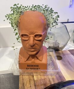 Chia Pet Bernie Sanders with Seed Pack, Decorative Pottery Planter, Easy to Do and Fun to Grow, Novelty Gift, Perfect for Any Occasion 13 71x2RMvGdrL