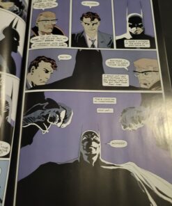 Batman: The Long Halloween Paperback 35 71x5M06MBfL