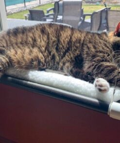 Kitty Cot Original World's Best Cat Perch (Large) Black Color Kitty Cot Large 31 71x6gMmYqTL