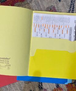 Pendaflex Divide It Up File Folders, Letter Size, Assorted Colors, 12/Pack (10773) Size: 12 per pack 17 71x9sE5aHdL