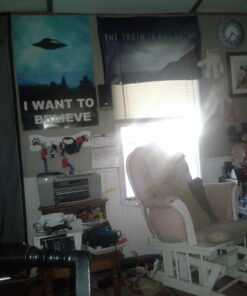 Alternative view of X FILES "The Truth is Out There" (1993-2002) Tv Show Poster 24x36 This is a Certified Print with Holographic Sequential Numbering for Authenticity