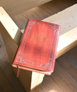 KJV Holy Bible, Standard Size, Burgundy Faux Leather w/Thumb Index and Ribbon Marker, Red Letter, King James Version 49 71xFrc7enL