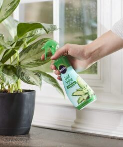 Miracle-Gro Leaf Shine, 8-Ounce Green 8 oz. 25 71xHDlJaCL
