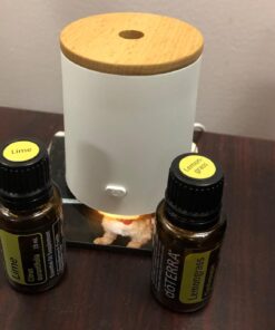 Essential Oil Diffuser, AromaAllure Waterless Portable Mini Oil Diffuser for Car, Office and Closet 37 71xHF9PjbL