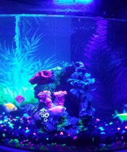 GloFish Aquarium Fish Tank Kits, Includes Fish Tank Decorations and LED Lighting, Tetra Filter and Water Conditioner 5-gallon crescent kit 38 71xI5eP9lQL