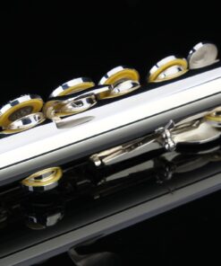 Glory HAND-ENGRAVED SILVER PLATED HIGH GRADE FLUTE 17 Hole OPEN/CLOSED C Flute With Case, Tuning Rod and Cloth and Gloves,HIGH GRADE HAND ENGRAVED 17 Open Hole Flower 19 71xIAibYCL