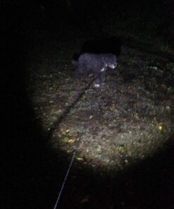 EcoGear FX Complete LED Tactical Flashlight Kit TK120 Flashlight with Rechargeable Battery: High Lumens with 5 Light Modes, Water Resistant, Adjustable Focus Zoom 88 71xItOJU4TL