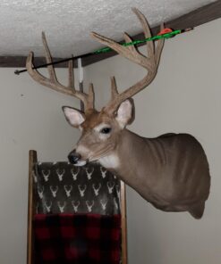 Rage Extreme 4 Blade Arrow Archery Broadhead, 100 Grain - 2 Pack 22 71xKSIHfdNL