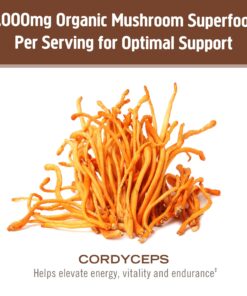 Om Organic Mushroom Superfood Powder, Cordyceps, 100 Servings, Energy and Endurance Support Supplement, 7.05 Ounce (Pack of 1) 7.05 Ounce (Pack of 1) 12 71xLmDGNG7L