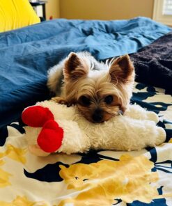 Multipet Plush Dog Toy, Lambchop, 10", White/Tan, Small 10" 36 71xPT3MlnRL