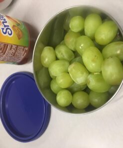 MIRA Stainless Steel Lunch Box Food Storage Containers | BPA Free, Eco-Friendly & Reusable Snack Food Nesting Containers | Set of 3 (Navy/Arctic/Icy) Navy/Arctic/Icy 24 71xQRHp6keL 3