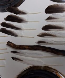 Touch of Nature 22-Piece Duck Wing Quills for Arts and Crafts, 8-Inch, Natural/Grey 1 13 71xQfD08QoL