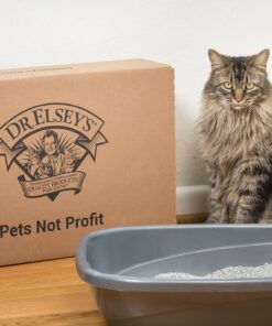 Dr. Elsey's Premium Clumping Cat Litter - Classic - 99.9% Dust-Free, Low Tracking, Hard Clumping, Superior Odor Control, Unscented & Natural Ingredients 18 lb 19 71xS0g5SGnS 1