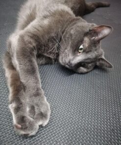 BalanceFrom Puzzle Exercise Mat with EVA Foam Interlocking Tiles for MMA, Exercise, Gymnastics and Home Gym Protective Flooring, Multiple Sizes Black 1/2" Thick, 24 Square Feet 42 71xSb8wMpPL