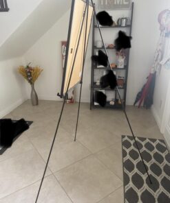 Amazon Basics Easel Stand, Instant Floor Poster, Lightweight, Collapsible and Portable with Tripod Base, Black Steel(supports 5 pounds) 28 71xTayc7FJL