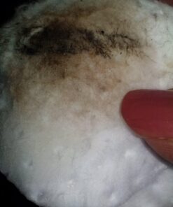 Radha Beauty Fractionated Coconut Oil - 100% Pure & Natural Carrier and Base Oil for Aromatherapy, Hair and Skin - Comes with Pump, 16 fl oz. 37 71xThUMr6oL