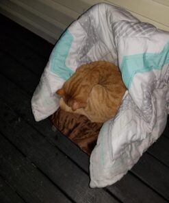 K&H Pet Products Self-Warming Crate Pad, Warming Dog Crate Bed, Machine Washable Dog Crate Mat, Mocha X-Small 14 x 22 Inches 22.0"L x 14.0"W x 1.0"Th 47 71xUMf1uBAL