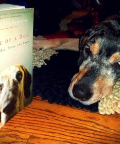 Inside of a Dog: What Dogs See, Smell, and Know 5 71xUjRGI1rL