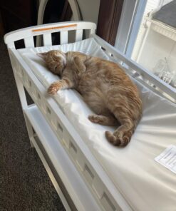 Dream On Me Emily Changing Table In White, Comes With 1" Changing Pad, Features Two Shelves, Portable Changing Station, Made Of Sustainable New Zealand Pinewood 30 71xYjaAVEkL