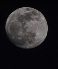 Opteka 500mm/1000mm f/8 Manual Telephoto Lens for Nikon F-Mount D6, D5, D4, DF, D850, D810, D780, D750, D700, D610, D500, D7500, D7200, D7100, D5600, D5500, D5300, D5200, D3500, D3400, D3300, D3200 72 71xYvoAg ML