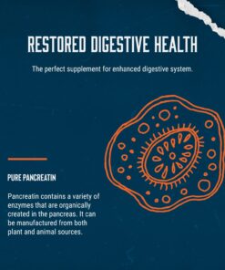 Digestive Enzyme Supplements for Gut Health - Pancreatin Digestive Enzymes for Digestion Upset Stomach Relief and Leaky Gut Repair - Pure Digestive Enzymes Digestion Supplement for Women and Men 10 71xb1gi H4L 1